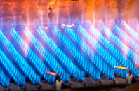 Friockheim gas fired boilers